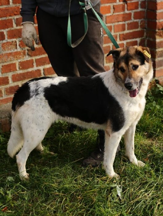 photo_2025-07-06_21-14-34