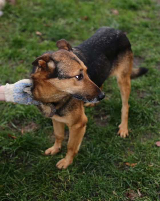 photo_2025-07-07_18-56-33