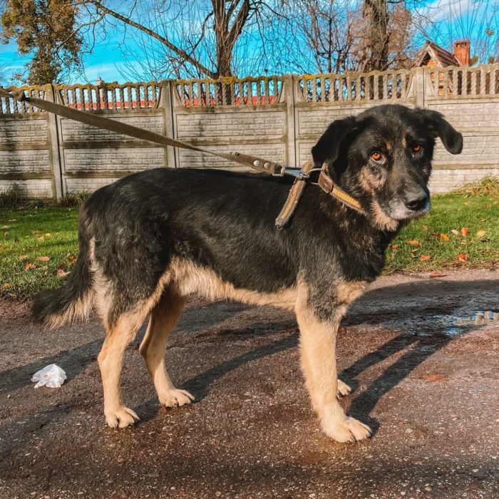 photo_2025-07-07_19-32-49