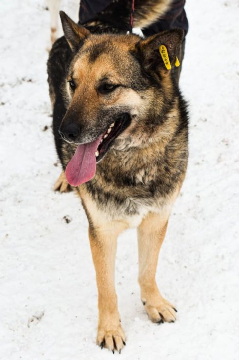 photo_2025-07-13_19-31-28