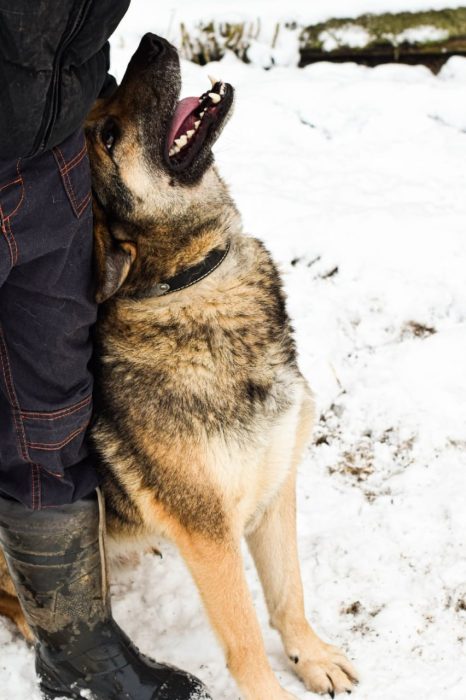 photo_2025-07-13_19-31-31