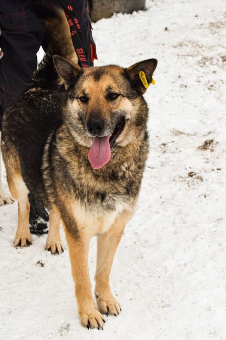 photo_2025-07-13_19-31-34