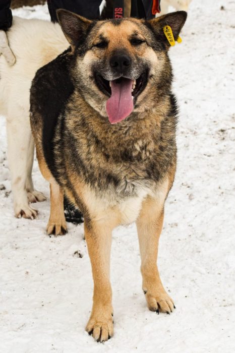 photo_2025-07-13_19-31-41