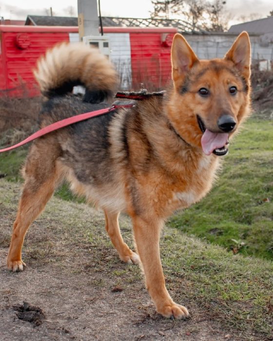 photo_2025-07-13_20-31-22