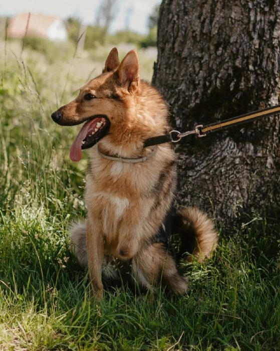 photo_2025-07-13_20-31-38