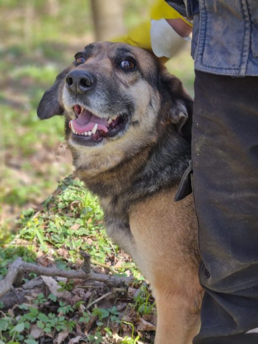 photo_2025-07-13_20-39-50