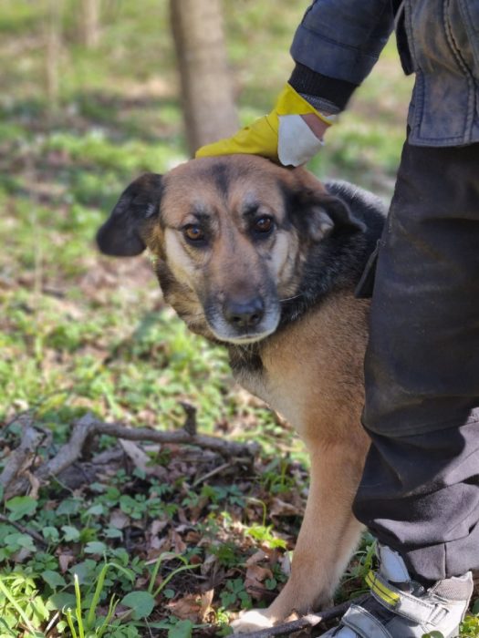 photo_2025-07-13_20-39-53