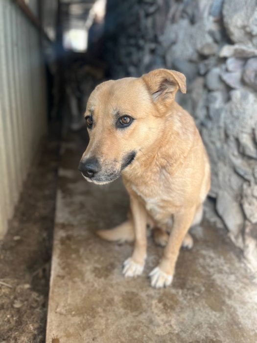 photo_2025-07-16_10-04-22