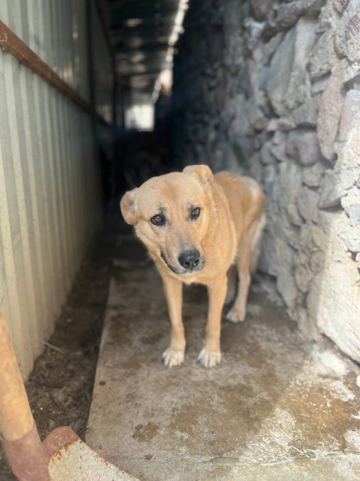 photo_2025-07-16_18-16-09