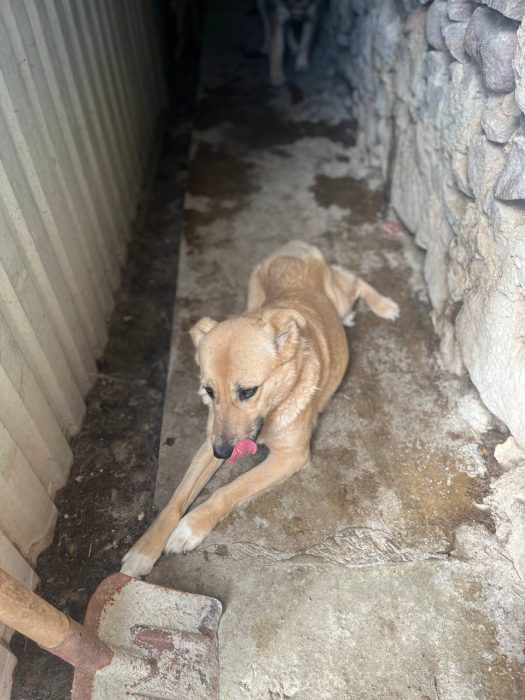 photo_2025-07-16_18-16-10