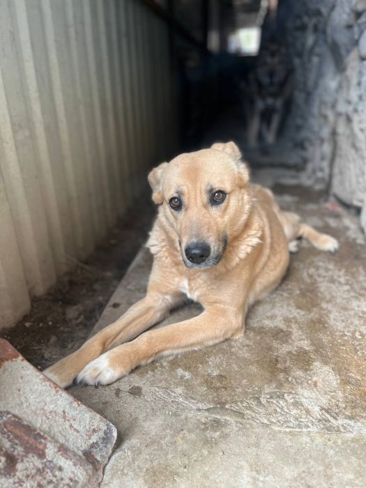 photo_2025-07-16_18-16-11