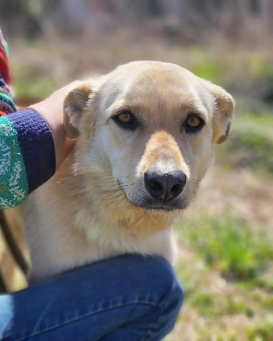 photo_2025-08-04_10-51-42