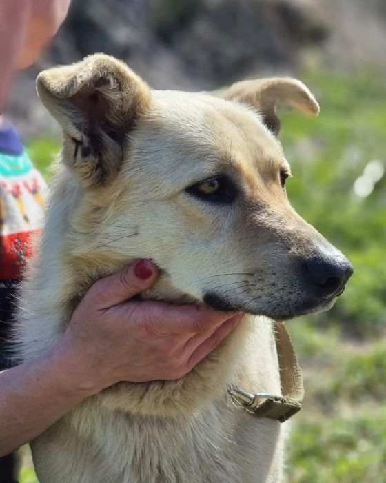 photo_2025-08-04_10-51-45