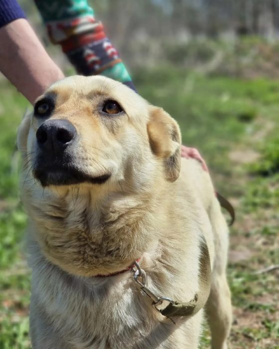 photo_2025-08-04_10-51-48