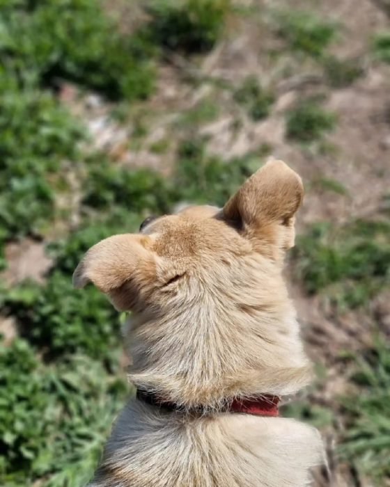 photo_2025-08-04_10-51-50