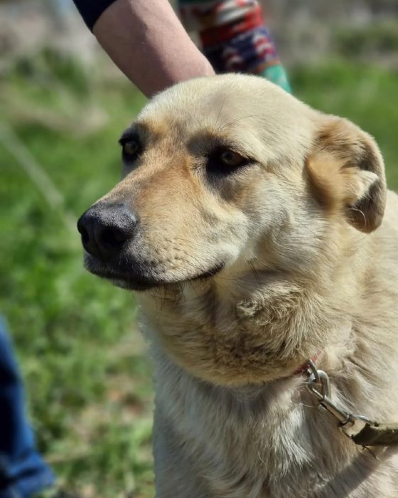 photo_2025-08-04_10-51-53