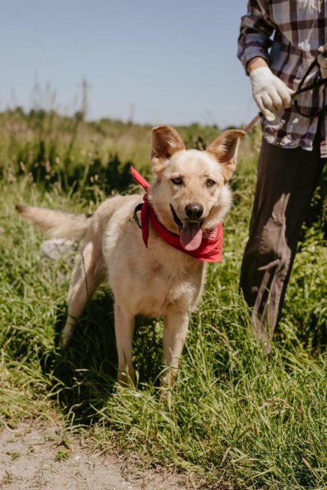 photo_2025-08-04_10-51-56