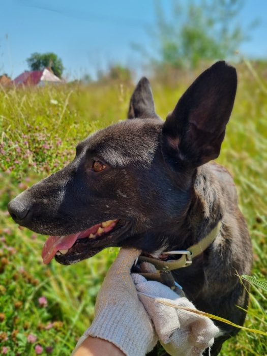 photo_2025-08-04_10-56-47