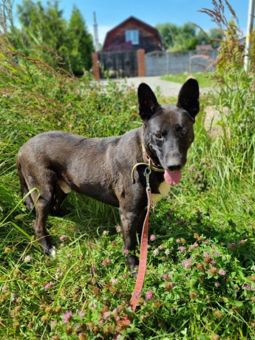 photo_2025-08-04_10-56-53