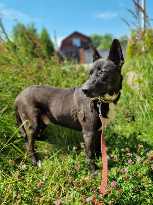 photo_2025-08-04_10-56-55