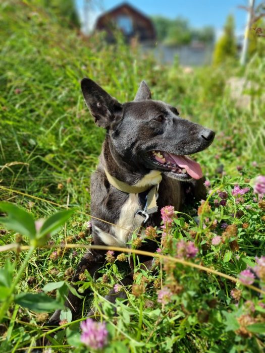 photo_2025-08-04_10-56-58