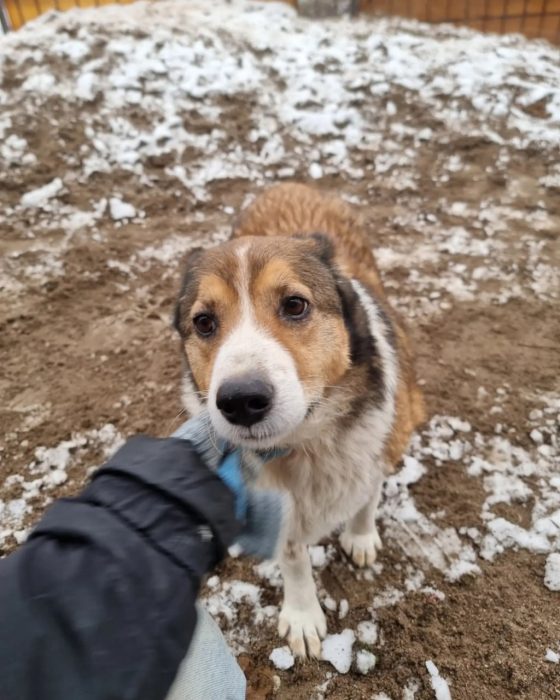 photo_2025-08-04_18-33-31