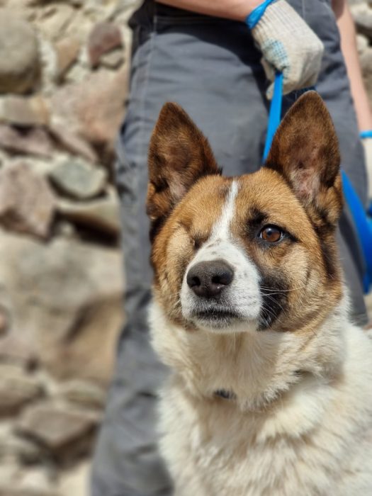 photo_2025-08-04_18-37-43