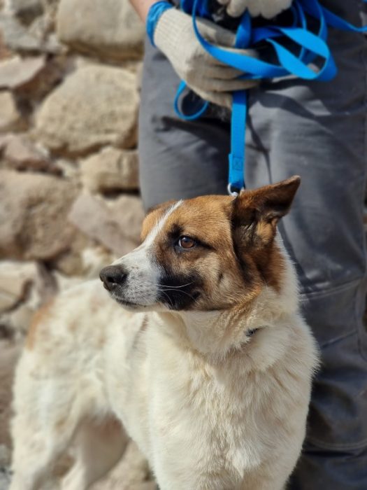 photo_2025-08-04_18-37-46