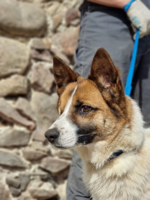 photo_2025-08-04_18-37-49