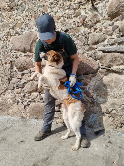 photo_2025-08-04_18-37-54