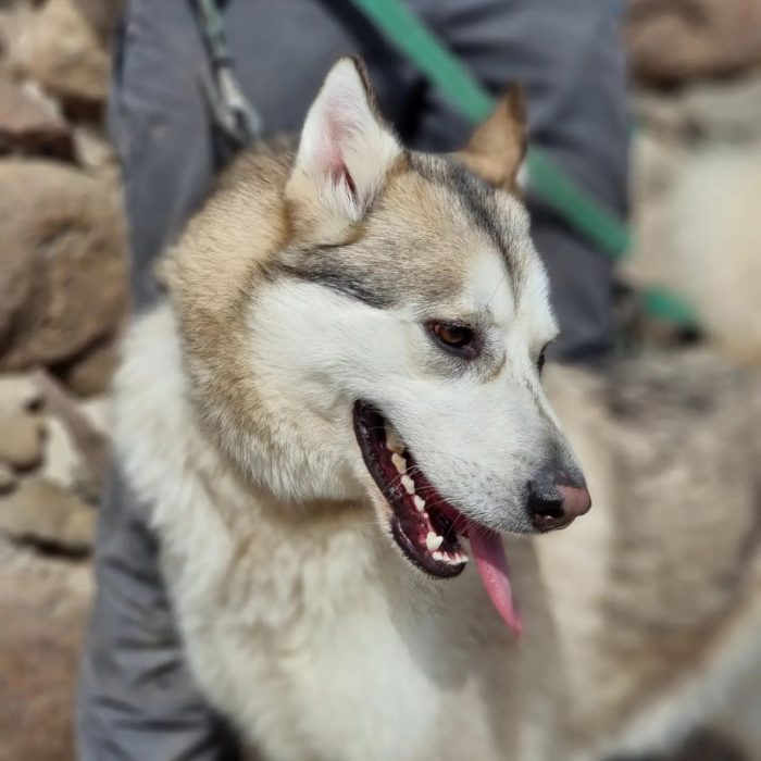 photo_2025-08-04_18-41-09