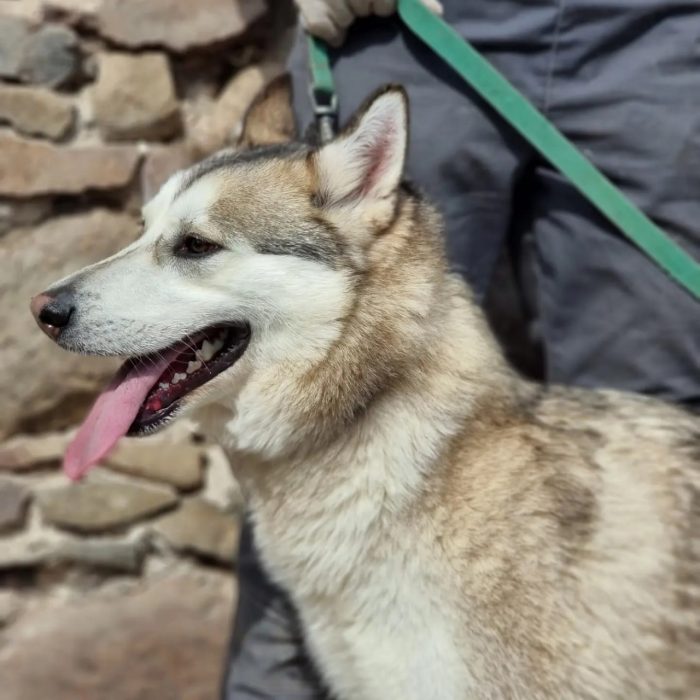 photo_2025-08-04_18-41-11