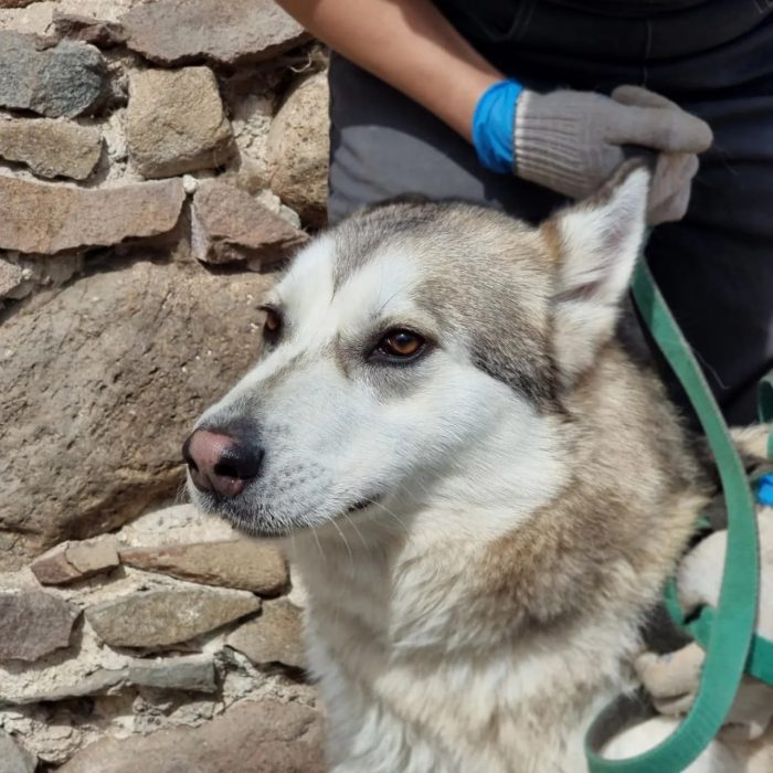 photo_2025-08-04_18-41-14