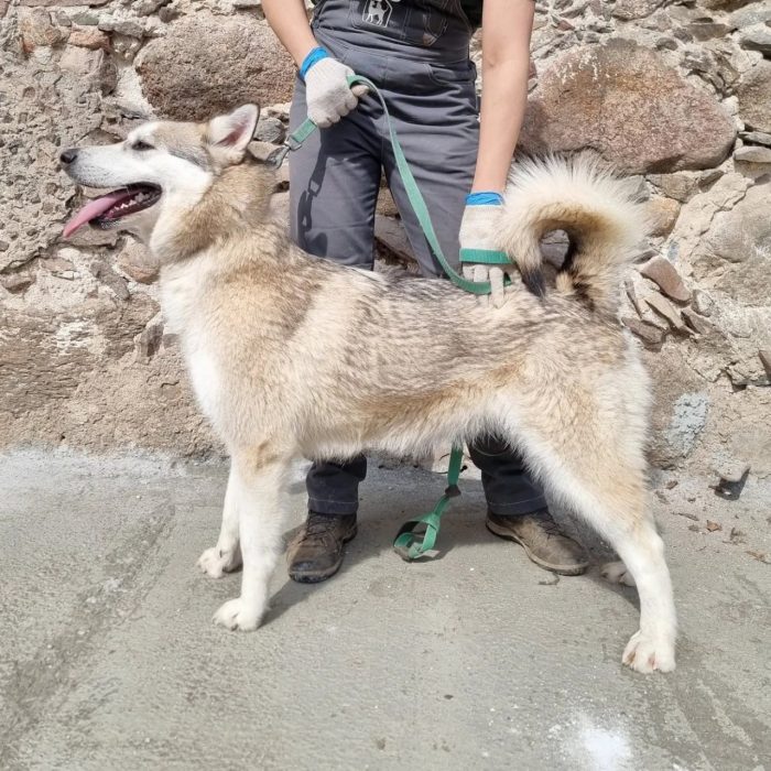 photo_2025-08-04_18-41-17