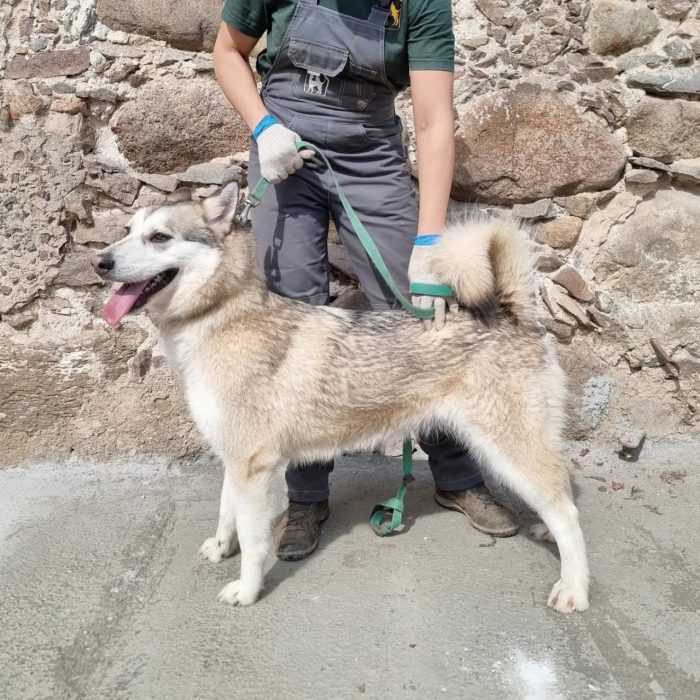 photo_2025-08-04_18-41-20