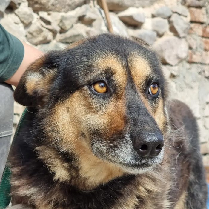 photo_2025-08-07_18-57-24