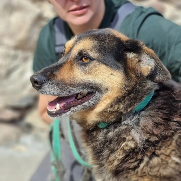 photo_2025-08-07_18-57-28