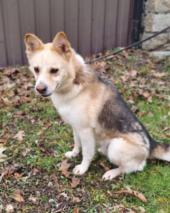 photo_2025-08-07_18-59-47