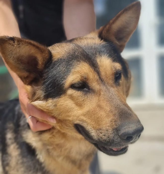 photo_2025-08-07_19-30-23