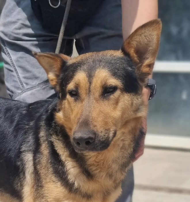 photo_2025-08-07_19-30-27