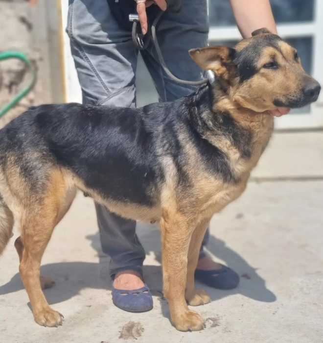 photo_2025-08-07_19-30-33