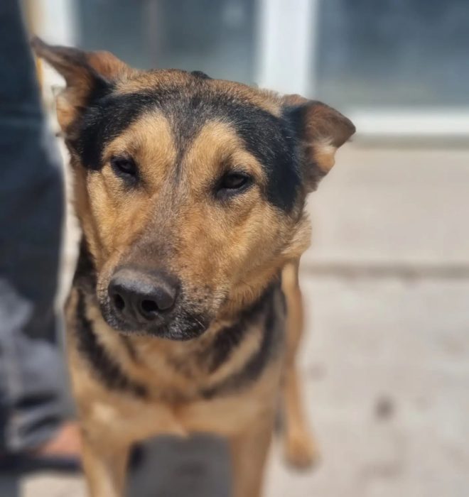 photo_2025-08-07_19-30-36