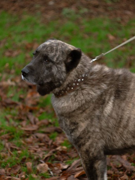 photo_2026-01-25_10-36-23