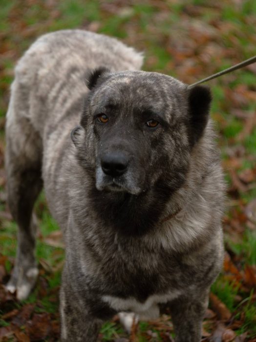 photo_2026-01-25_10-36-26