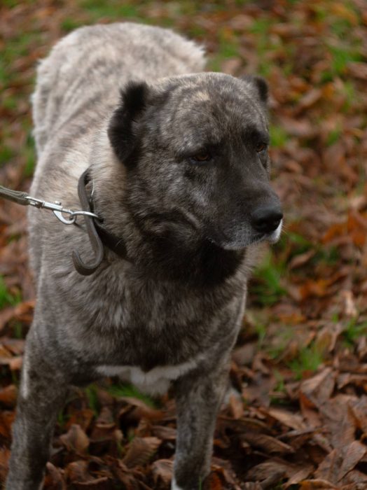 photo_2026-01-25_10-36-28