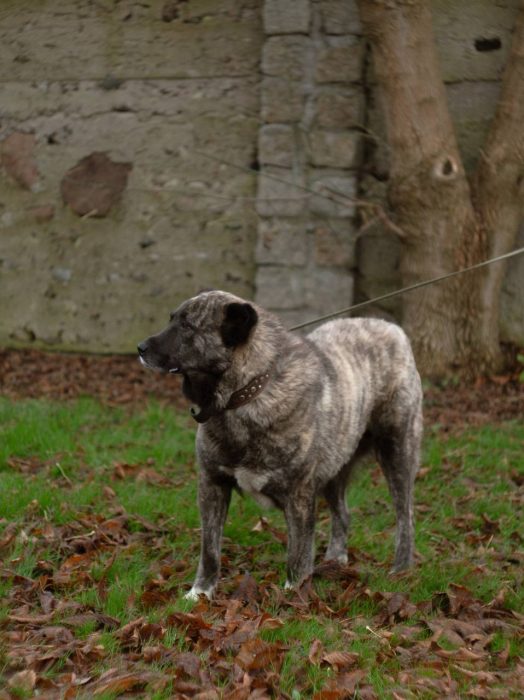 photo_2026-01-25_10-36-31