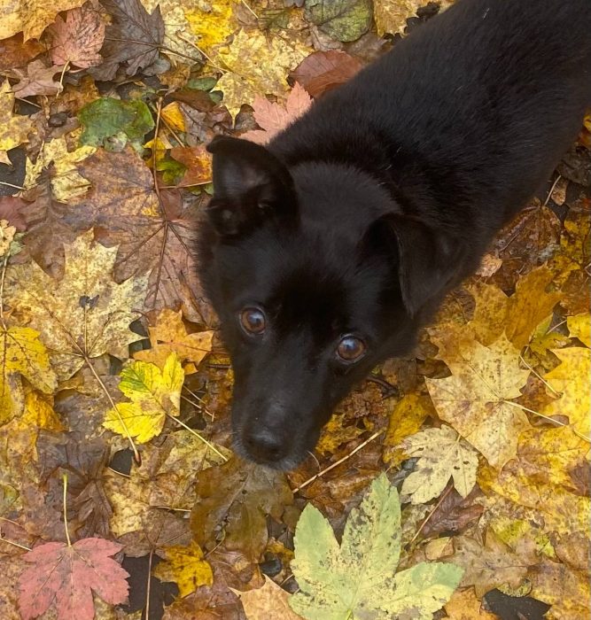 photo_2026-03-17_17-57-03