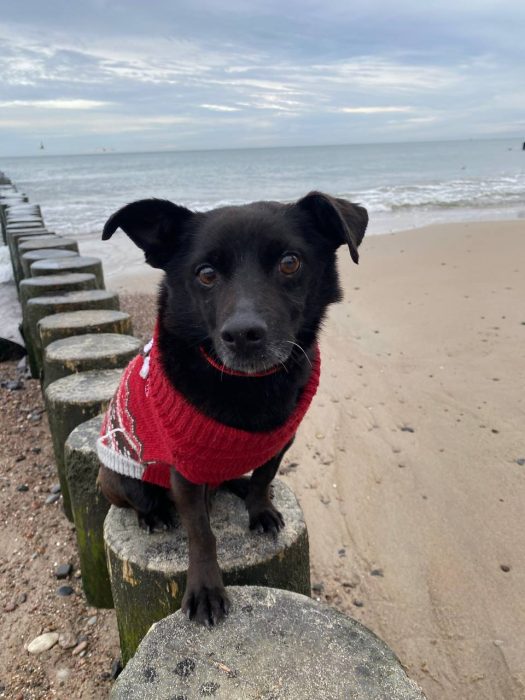 photo_2026-03-17_17-57-11