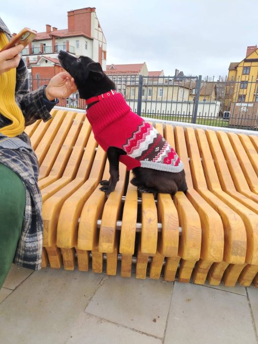 photo_2026-03-17_17-57-18