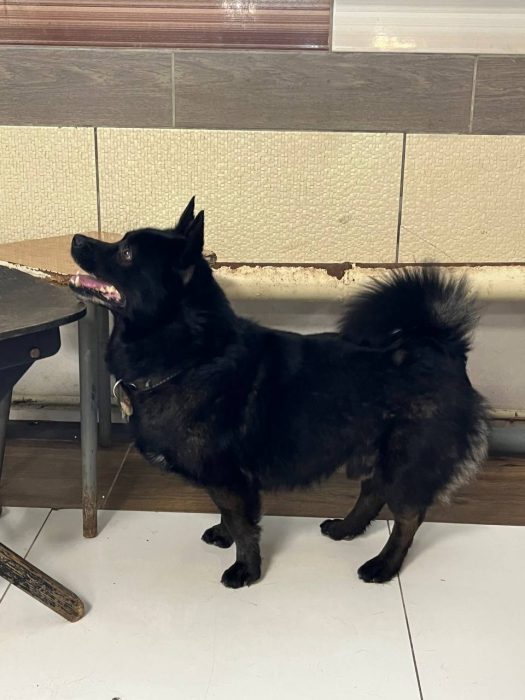 photo_2026-03-18_17-12-47